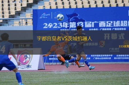 宇都宮皇者VS茨城機器人