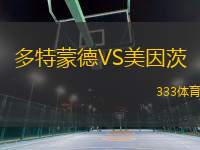 多特蒙德VS美因茨