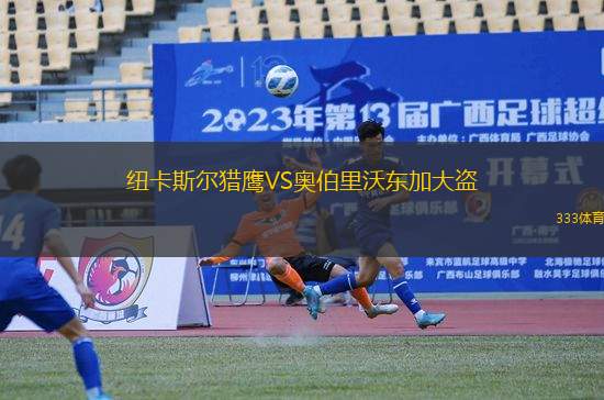 紐卡斯?fàn)柅C鷹VS奧伯里沃東加大盜