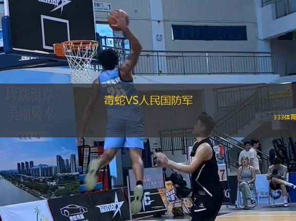 毒蛇VS人民國防軍