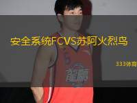 安全系統(tǒng)FCVS蘇阿火烈鳥