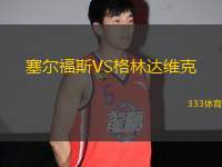 塞爾福斯VS格林達(dá)維克