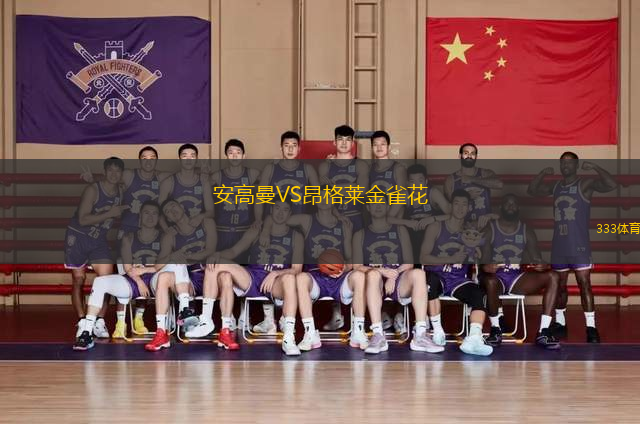安高曼VS昂格萊金雀花