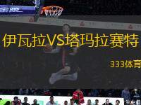 伊瓦拉VS塔瑪拉賽特