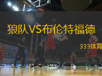 狼隊VS布倫特福德