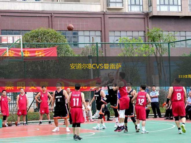 安道爾BCVS曼雷薩