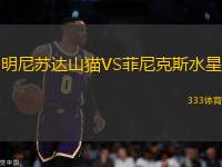 明尼蘇達(dá)山貓VS菲尼克斯水星