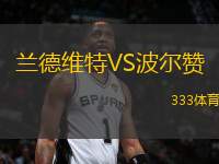 蘭德維特VS波爾贊