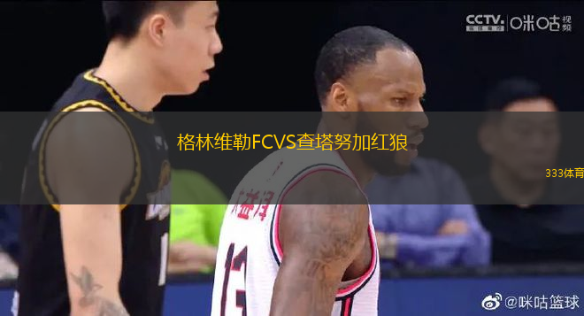 格林維勒FCVS查塔努加紅狼