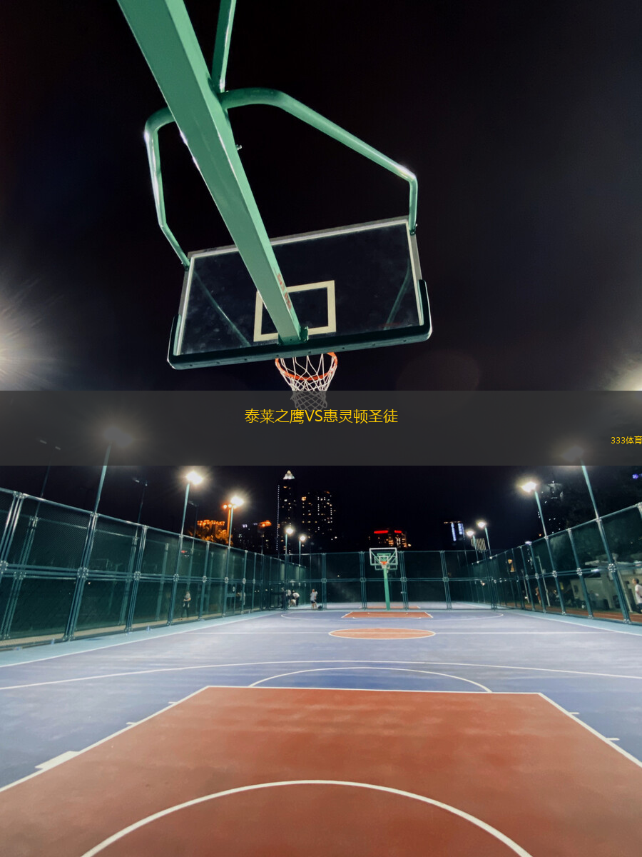 泰萊之鷹VS惠靈頓圣徒