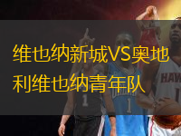 維也納新城VS奧地利維也納青年隊